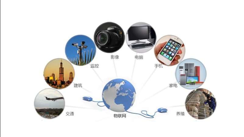 无线传感器网络系统定制：构建智能工厂的基石**
